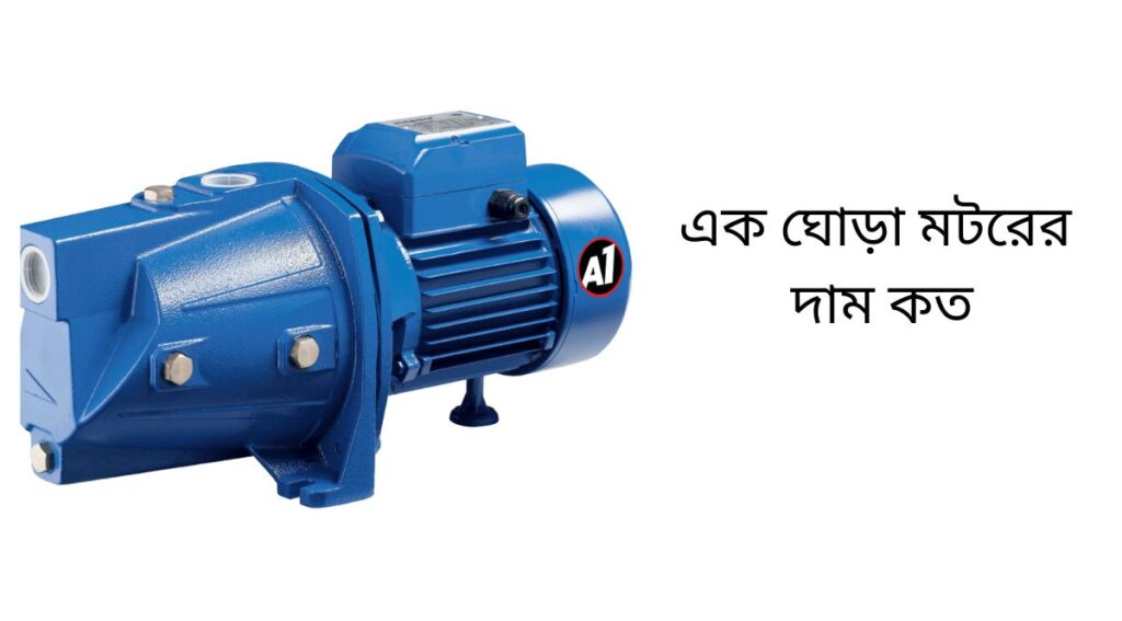 এক ঘোড়া মটরের দাম কত