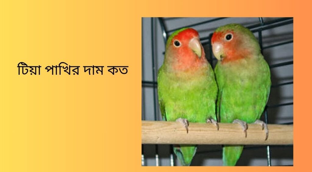 টিয়া পাখির দাম কত