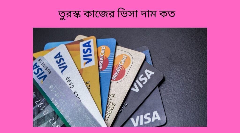 তুরস্ক কাজের ভিসা দাম কত
