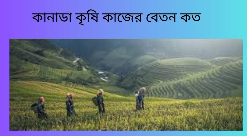 কানাডা কৃষি কাজের বেতন কত