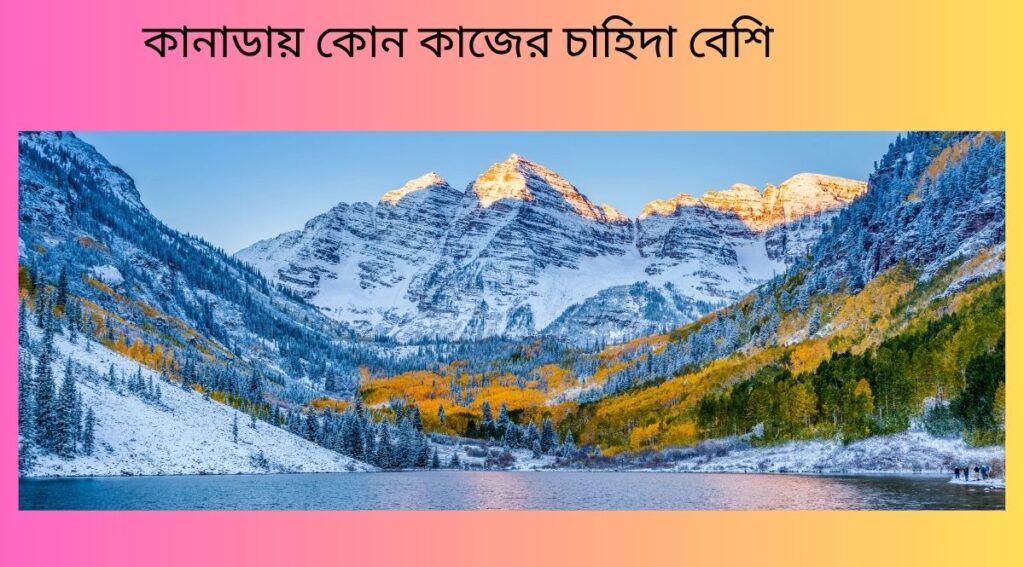কানাডায় কোন কাজের চাহিদা বেশি