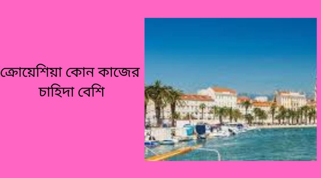 ক্রোয়েশিয়া কোন কাজের চাহিদা বেশি