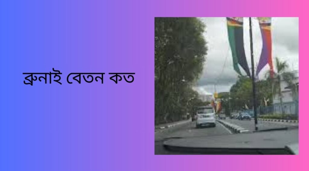 ব্রুনাই বেতন কত