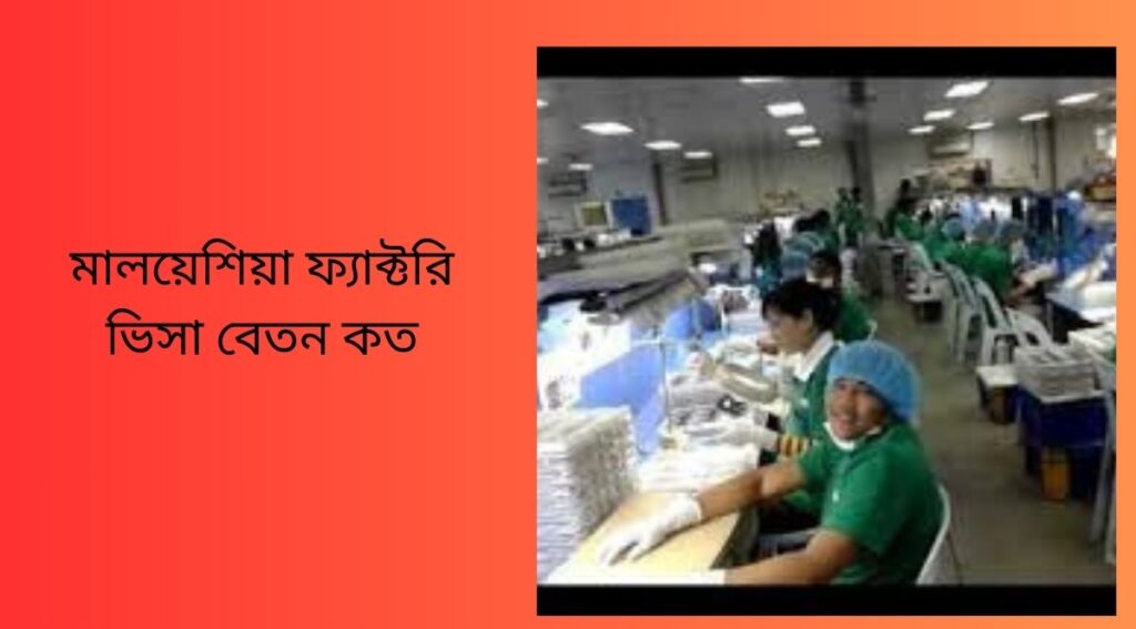 মালয়েশিয়া ফ্যাক্টরি ভিসা বেতন কত
