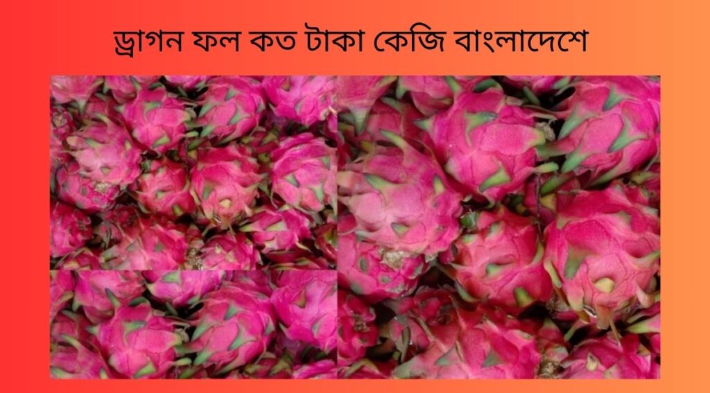 ড্রাগন ফল কত টাকা কেজি বাংলাদেশে