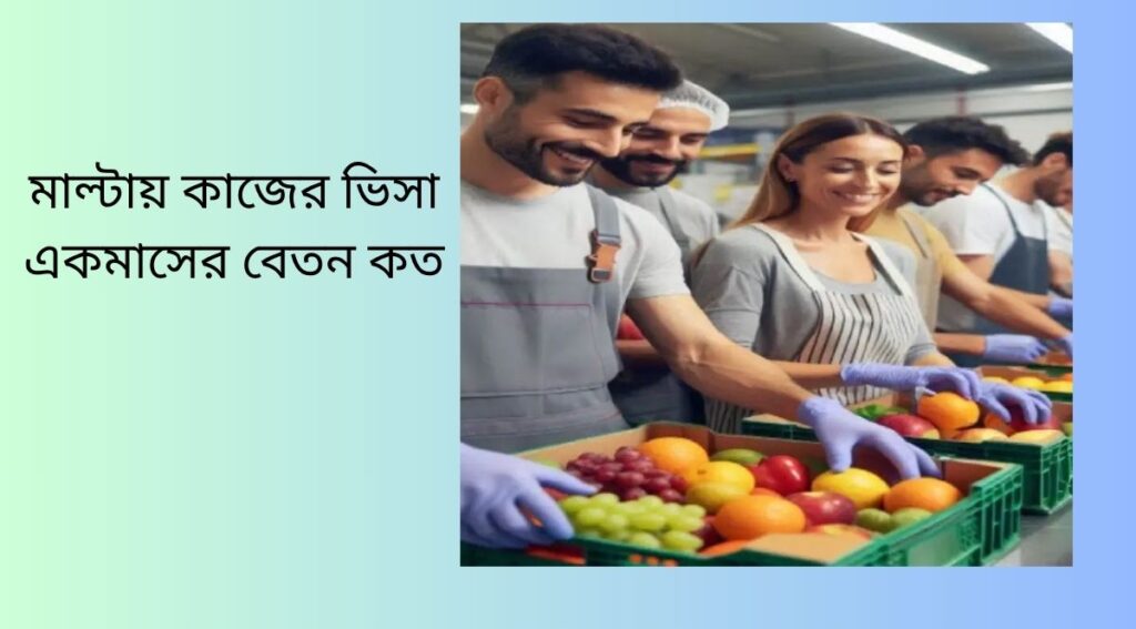 মাল্টায় কাজের ভিসা একমাসের বেতন কত