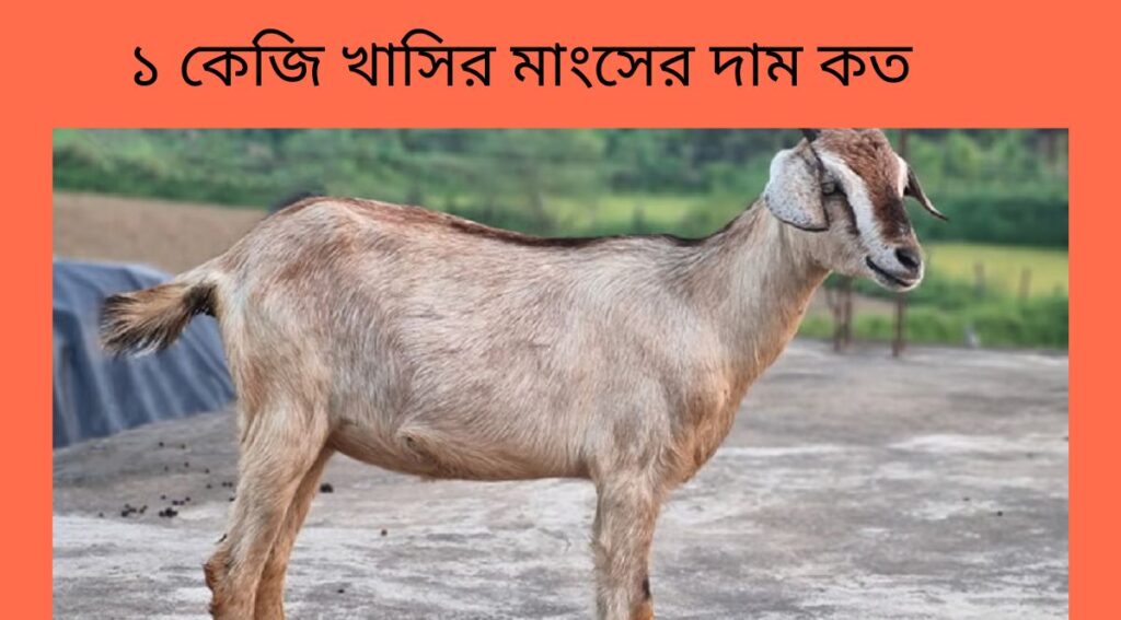 ১ কেজি খাসির মাংসের দাম কত