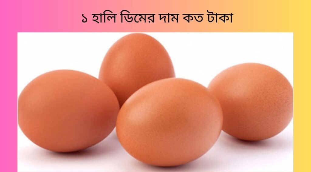 ১ হালি ডিমের দাম কত টাকা