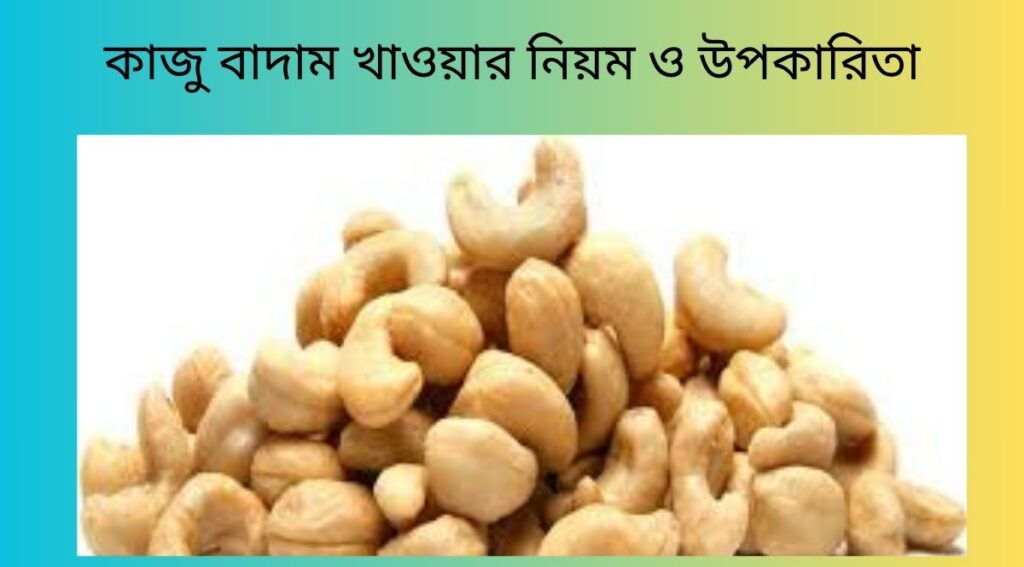 কাজু বাদাম খাওয়ার নিয়ম ও উপকারিতা