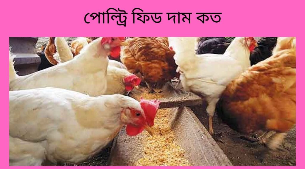 পোল্ট্রি ফিড দাম কত