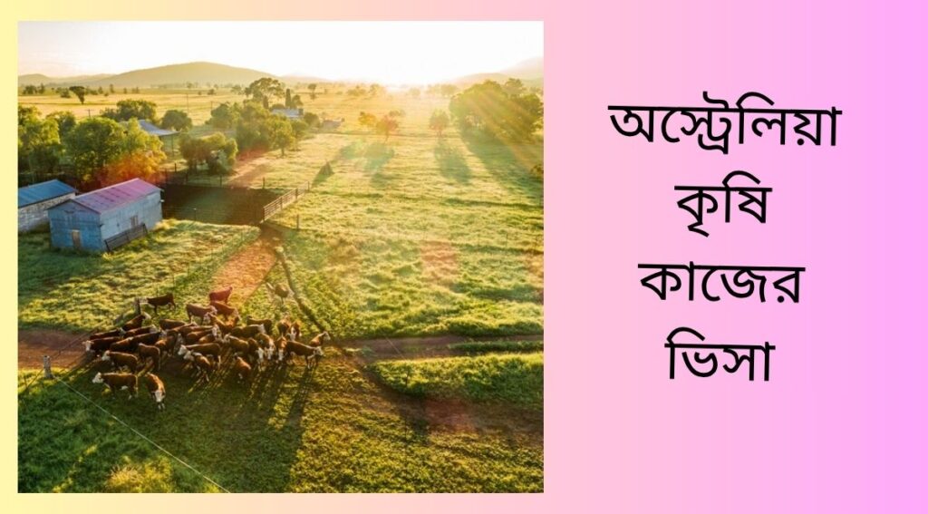 অস্ট্রেলিয়া কৃষি কাজের ভিসা